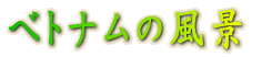 xgi̕i