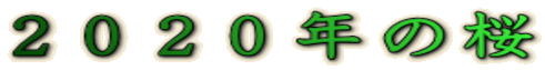 QOQON̍