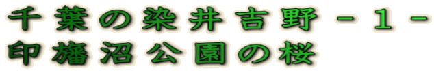 t̐g|P| ׏̍