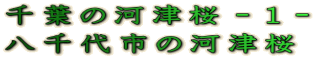 t̉͒Í|P| s̉͒Í