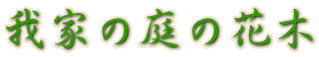 我家の庭