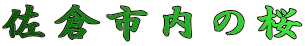 qs̍