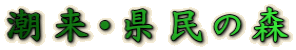 E̐X