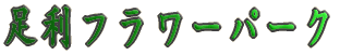 t[p[N