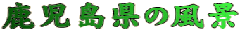 ̕i 