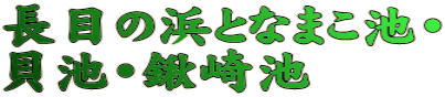 長目の浜となまこ池・ 貝池・鍬崎池 