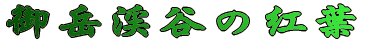 xkJ̍gt