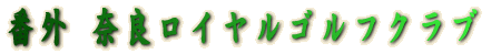 ԊOEޗǃCStNu