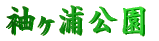 袖ヶ浦公園