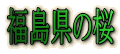 ̍ 