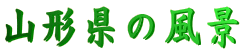 R`̕i 