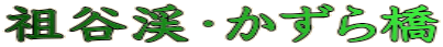 cJkE狴