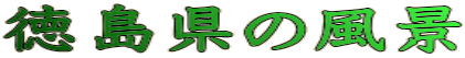 ̕i