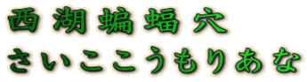 啌 肠 