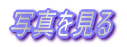 ʐ^