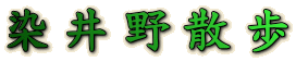 染井野散歩 
