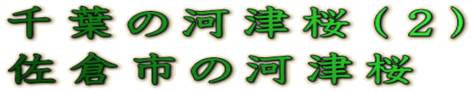 t̉͒ÍiQj qs̉͒Í