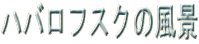 notXN̕i 