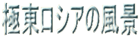 ɓVA̕i 